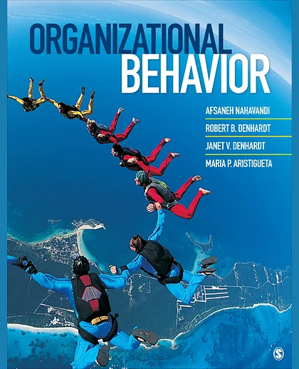 Organizational Behavior, 1st Edition