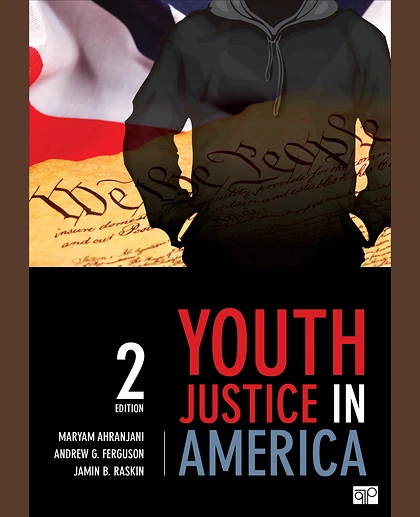 Youth Justice in America, 2nd Edition