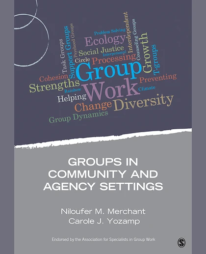 Groups in Community and Agency Settings, 1st Edition