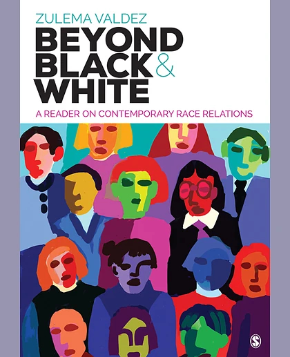 Beyond Black and White: A Reader on Contemporary Race Relations, 1st Edition