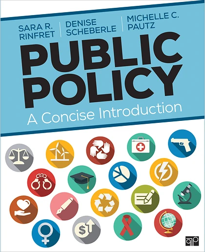Public Policy: A Concise Introduction, 1st Edition