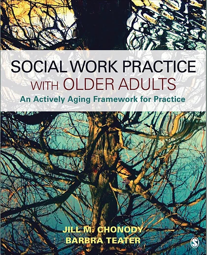 Social Work Practice With Older Adults: An Actively Aging Framework for Practice, 1st Edition