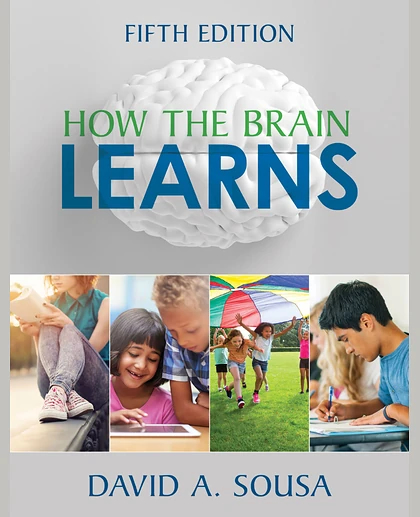 How the Brain Learns Mathematics, 2nd Edition