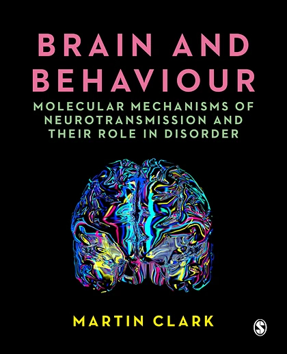 Brain and Behaviour: Molecular Mechanisms of Neurotransmission and Their Role in Disorder, 1st Edition