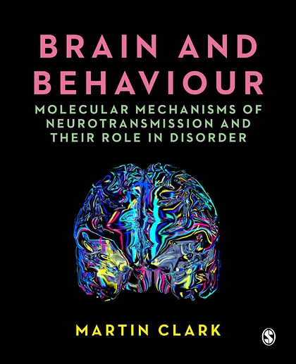Brain and Behaviour: Molecular Mechanisms of Neurotransmission and Their Role in Disorder