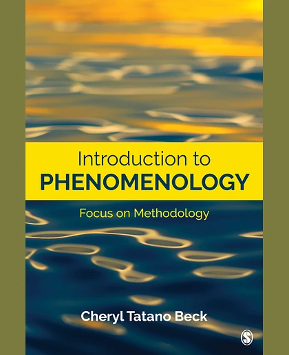 Introduction to Phenomenology: Focus on Methodology, 1st Edition