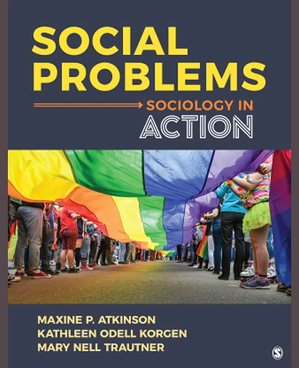 Social Problems Sociology in Action, 1st Edition