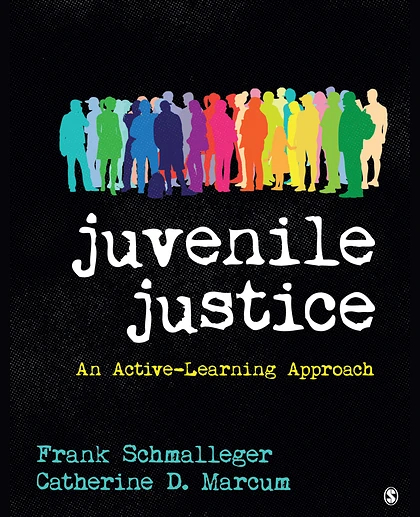 Juvenile Justice: An Active-Learning Approach
