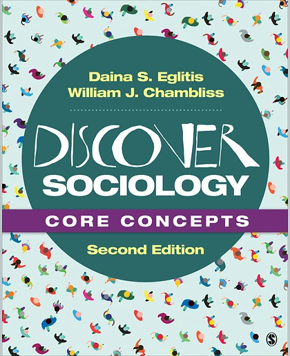 Discover Sociology: Core Concepts, 2nd Edition