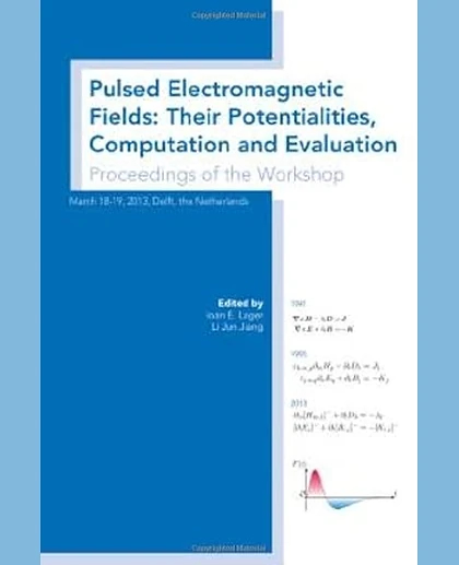 Pulsed Electromagnetic Fields: Their Potentialities, Computation and Evaluation