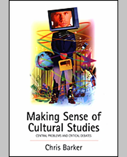 Making Sense of Cultural Studies: Central Problems and Critical Debates, 1st Edition