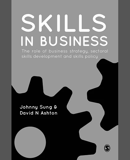 Skills in Business: The Role of Business Strategy, Sectoral Skills Development and Skills Policy, 1st Edition