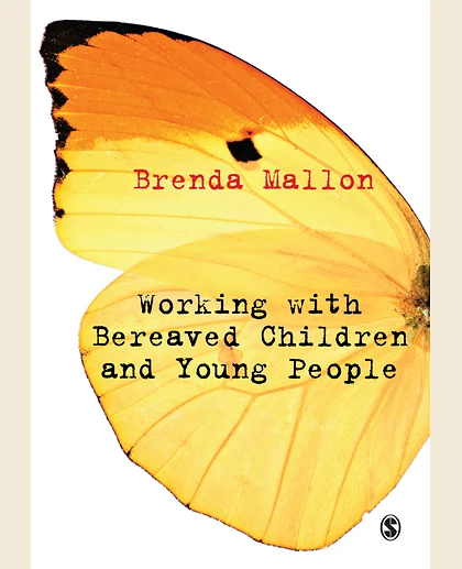 Working with Bereaved Children and Young People, 1st Edition