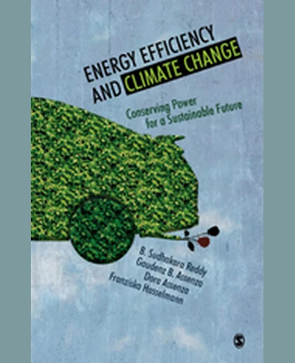 Energy Efficiency and Climate Change: Conserving Power for a Sustainable Future, 1st Edition