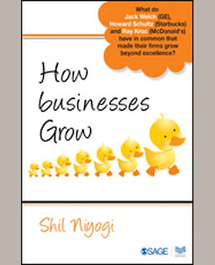 How Businesses Grow: While Others Remain Undistinguished, 1st Edition