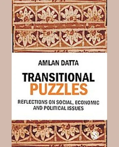 Transitional Puzzles: Reflections on Social, Economic and Political Issues, 1st Edition