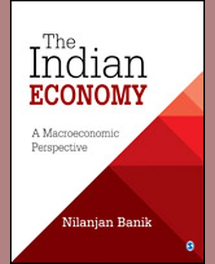 The Indian Economy: A Macroeconomic Perspective