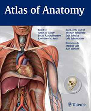 Atlas of Anatomy 1st