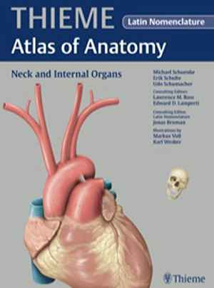 Neck and Internal Organs (THIEME Atlas of Anatomy)  1st