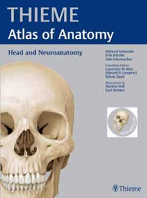 Head and Neuroanatomy (THIEME Atlas of Anatomy)  1st