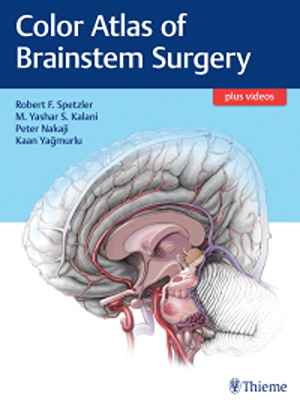 Color Atlas of Brainstem Surgery 1st