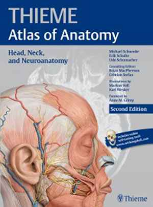 Head, Neck, and Neuroanatomy (THIEME Atlas of Anatomy)  2nd