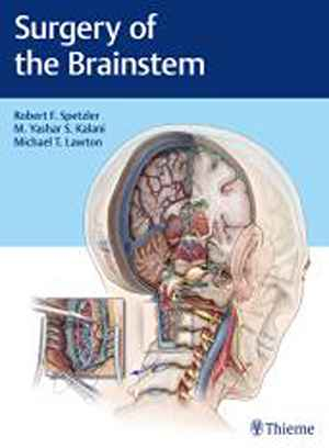 Surgery of the Brainstem  1st
