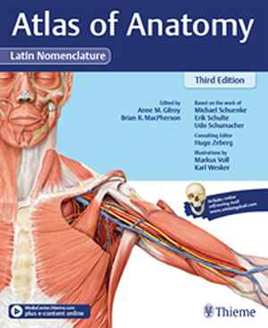 Atlas of Anatomy, 3e Latin 3rd