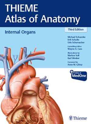 Internal Organs (THIEME Atlas of Anatomy)  3rd