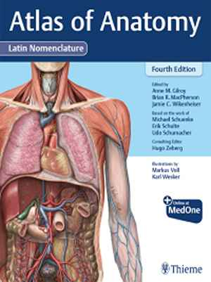Atlas of Anatomy, Latin Nomenclature 4th