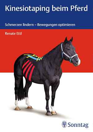 Kinesiotaping beim Pferd: Schmerzen lindern – Bewegungen optimieren