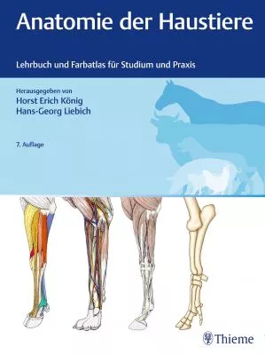 Anatomie der Haustiere: Lehrbuch und Farbatlas für Studium und Praxis