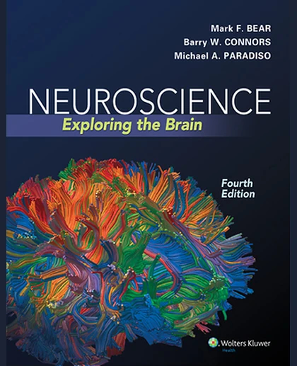 Neuroscience: Exploring the Brain, Fourth Edition by Mark F. Bear, Barry W. Connors, Michael A. Paradiso (2015) Hardcover