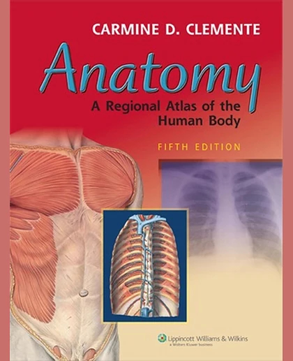 Anatomy: A Regional Atlas Of The Human Body
