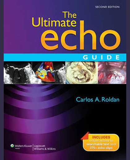 The Ultimate Echo Guide