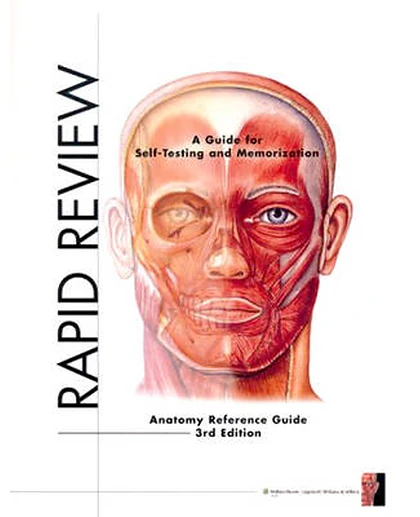 Rapid Review: Anatomy Reference Guide