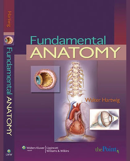 Fundamental Anatomy