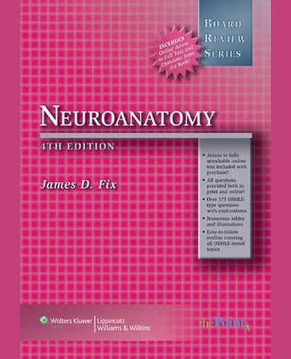 Neuroanatomy