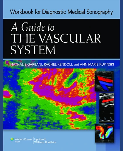 A Guide to the Vascular System