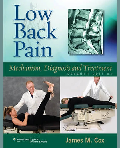Low Back Pain: Mechanism, Diagnosis and Treatment