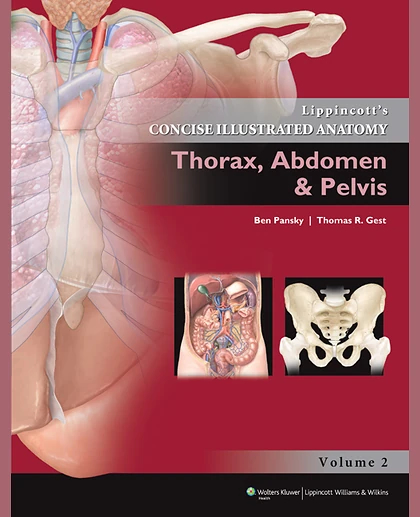 Lippincott's Concise Illustrated Anatomy: Thorax, Abdomen & Pelvis