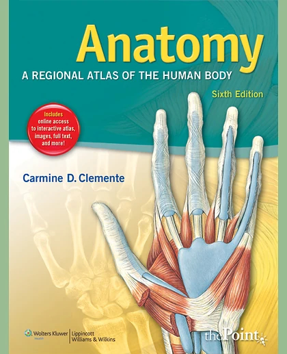 Anatomy: A Regional Atlas of the Human Body