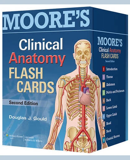 Moore's Clinical Anatomy Flash Cards