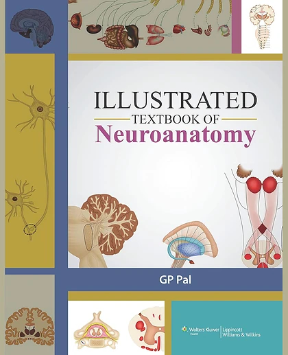 Illustrated Textbook of Neuroanatomy