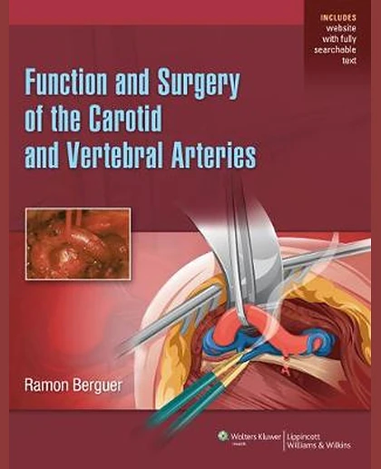 Function and Surgery of the Carotid and Vertebral Arteries