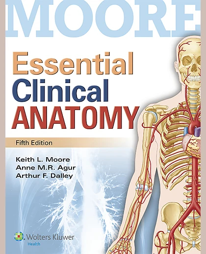 Essential Clinical Anatomy: , Volume 39