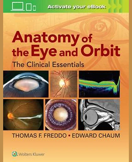 Anatomy of the Eye and Orbit