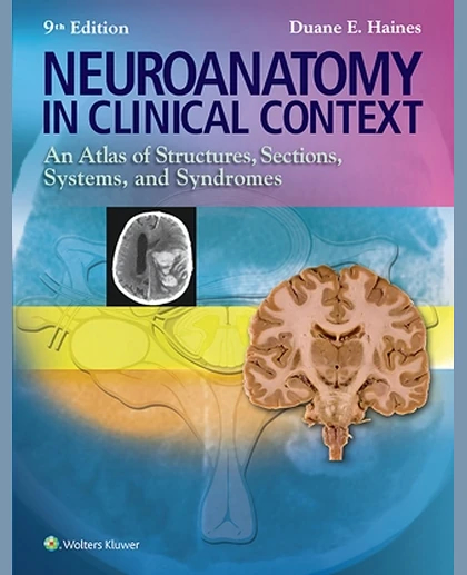 Neuroanatomy in Clinical Context: An Atlas of Structures, Sections, Systems, and Syndromes
