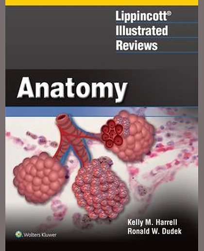 Lippincott® Illustrated Reviews: Anatomy