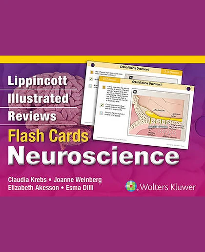 Lippincott Illustrated Reviews Flash Cards: Neuroscience